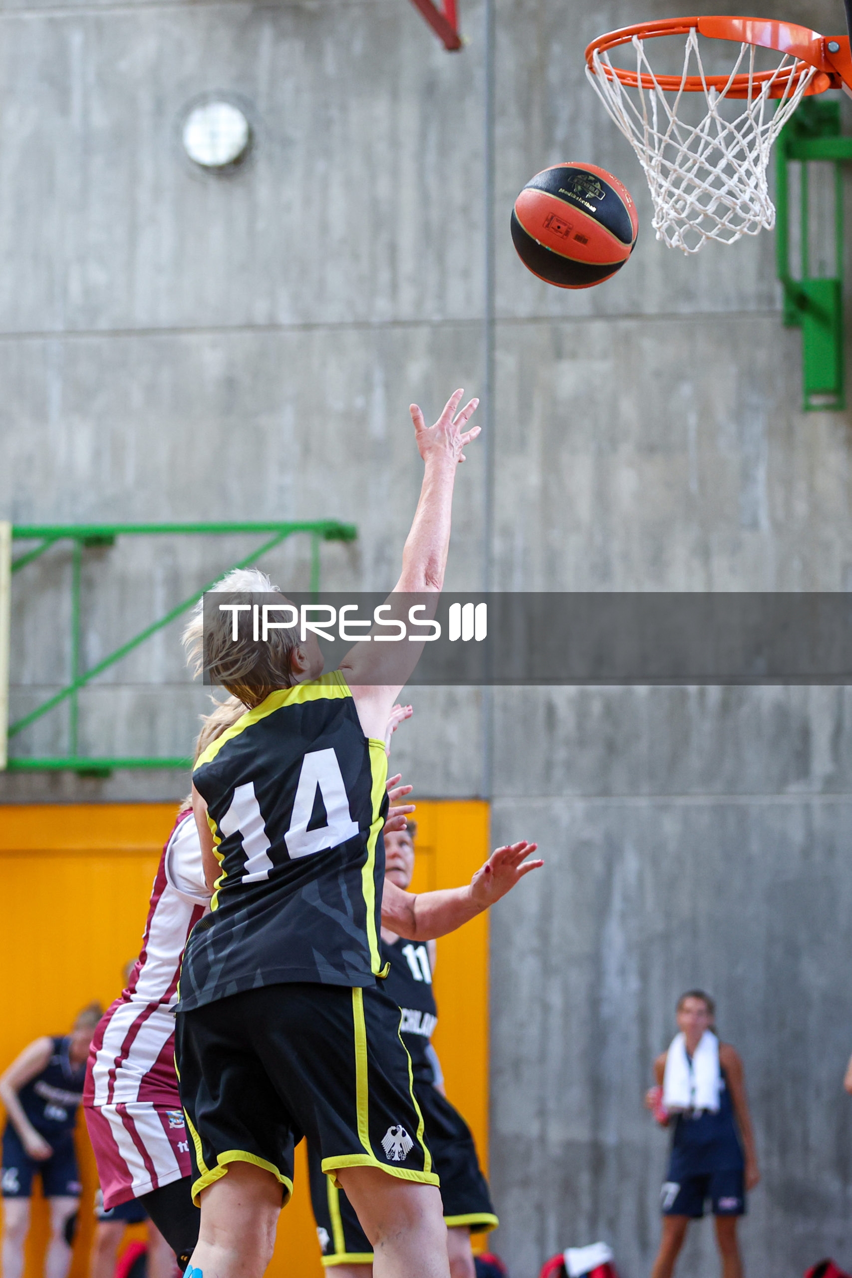 Basket: Germany Ladies – F65+ Latvia Zeltenes M65+